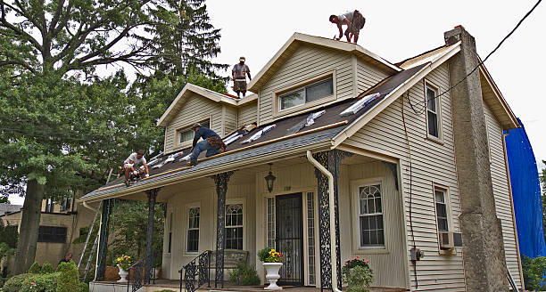 Best Emergency Roof Repair  in Rolla, ND