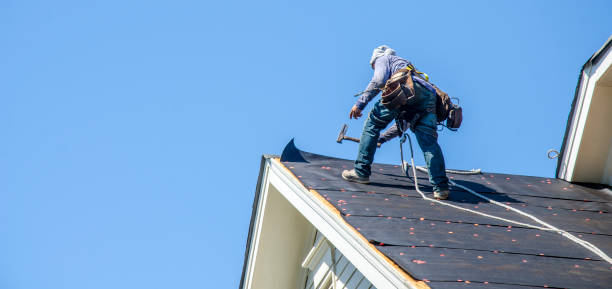 Best Commercial Roofing Services  in Rolla, ND